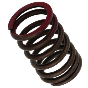 Valve Spring, Outer, 1 Piece (OEM)