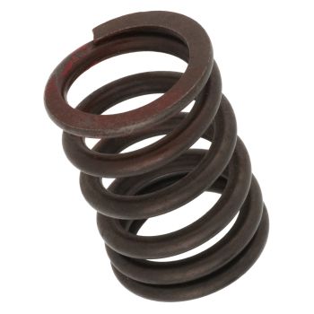 Valve Spring, Outer, 1 Piece