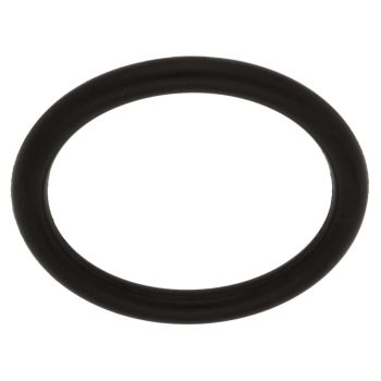 O-Ring for Starter Shaft (Starter Shaft to Engine)