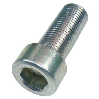 Screw for Inner Fork Tube (Bottom/ Damper), 1 Piece (suitable copper seal see item 94011)