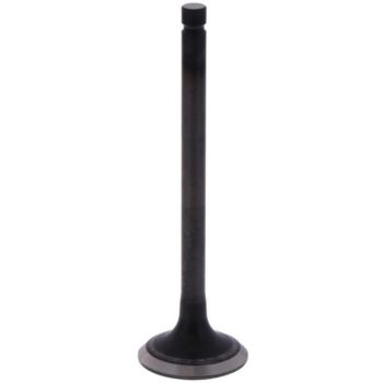 Exhaust Valve