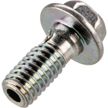 Banjo Screw M6 with Thrust Washer (OEM)