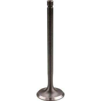 Valve, Intake, 1 Piece
