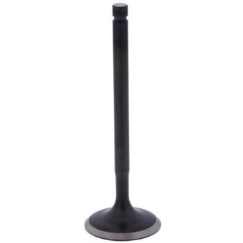 Intake Valve