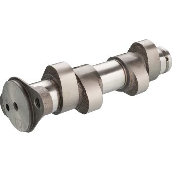 Tuning Camshaft 'Top End Power', more power in the middle and upper speed range, (your used Camshaft will be reworked)