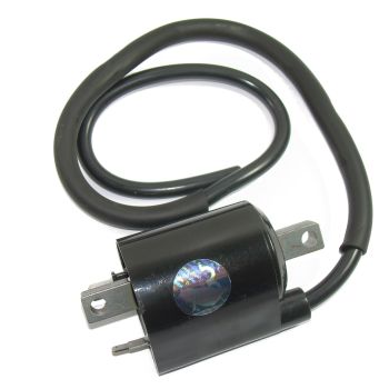 Ignition Coil (Ohmic Resitance= 4 Ohm)