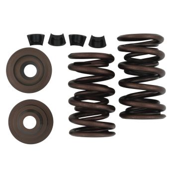 KEDO Racing Valve Springs (Steel- Tops)