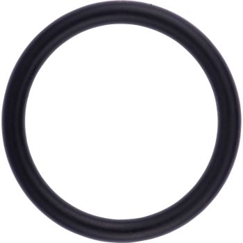 O-Ring for Water Pump Nozzle, Small (OEM)