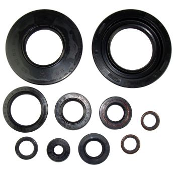 Engine Shaft Seals, Complete Kit, 10 Pcs, OEM-Quality