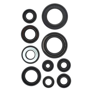 Engine Shaft Seals, Complete Kit, 10 Pieces