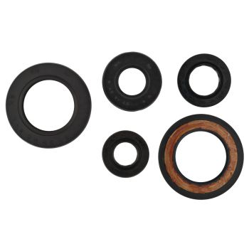 Engine Oil Seal Set (5 Pieces)