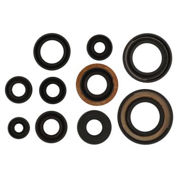 Engine Shaft Seals, Complete Kit, 10 Pieces