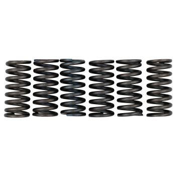 Clutch Springs 'Heavy Duty' (EBC)
