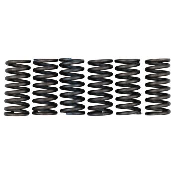 Clutch Springs 'Heavy Duty' (EBC)