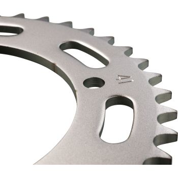 41T Rear Sprocket Steel