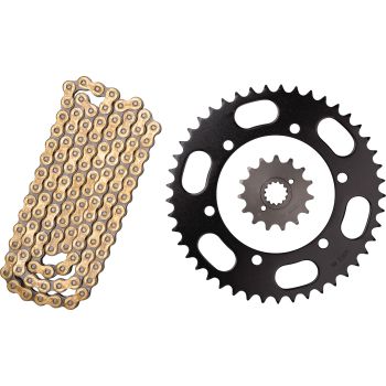 X-Ring Chain Kit 15/45 (110 Links) DID520VX3 gold