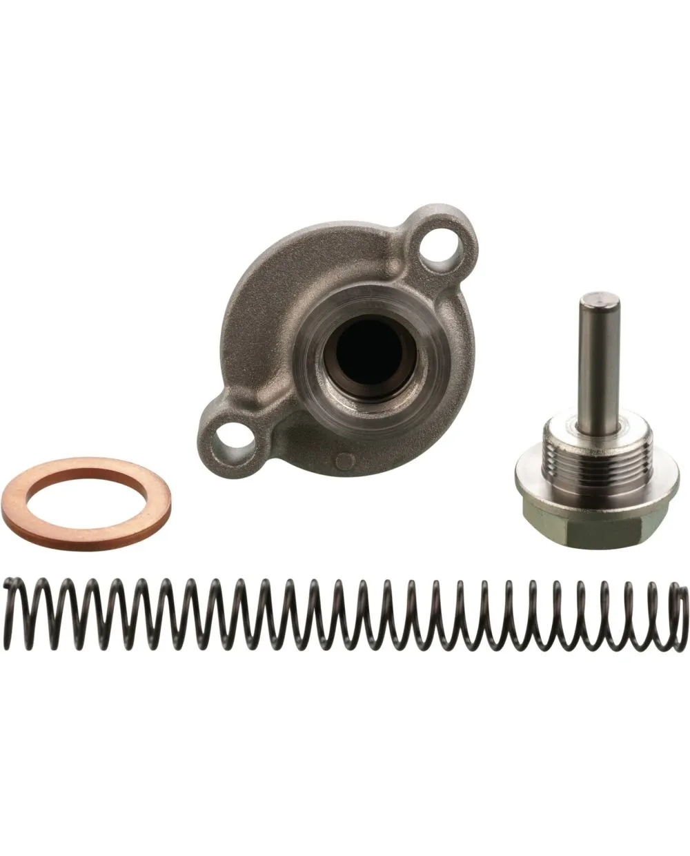 Amazon.com: AHL 1pair Motorcycle Cam Chain Tensioner for